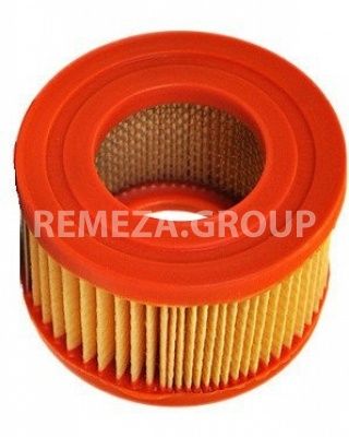Патрон фильтра воздушного Remeza 4093100211 фото
